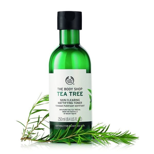 0041116 tea tree