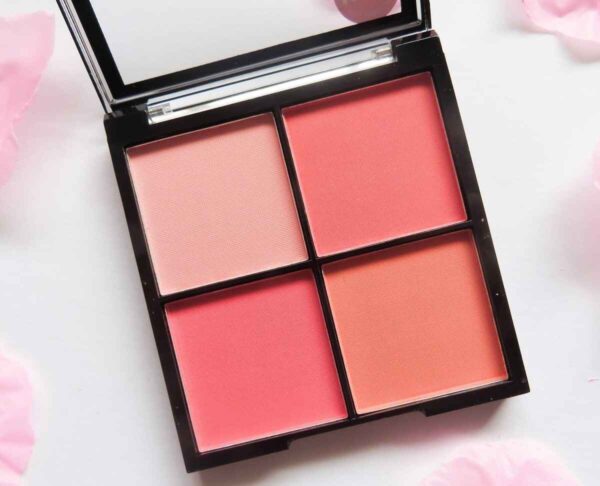 Technic Matte finish Mega Blush 3