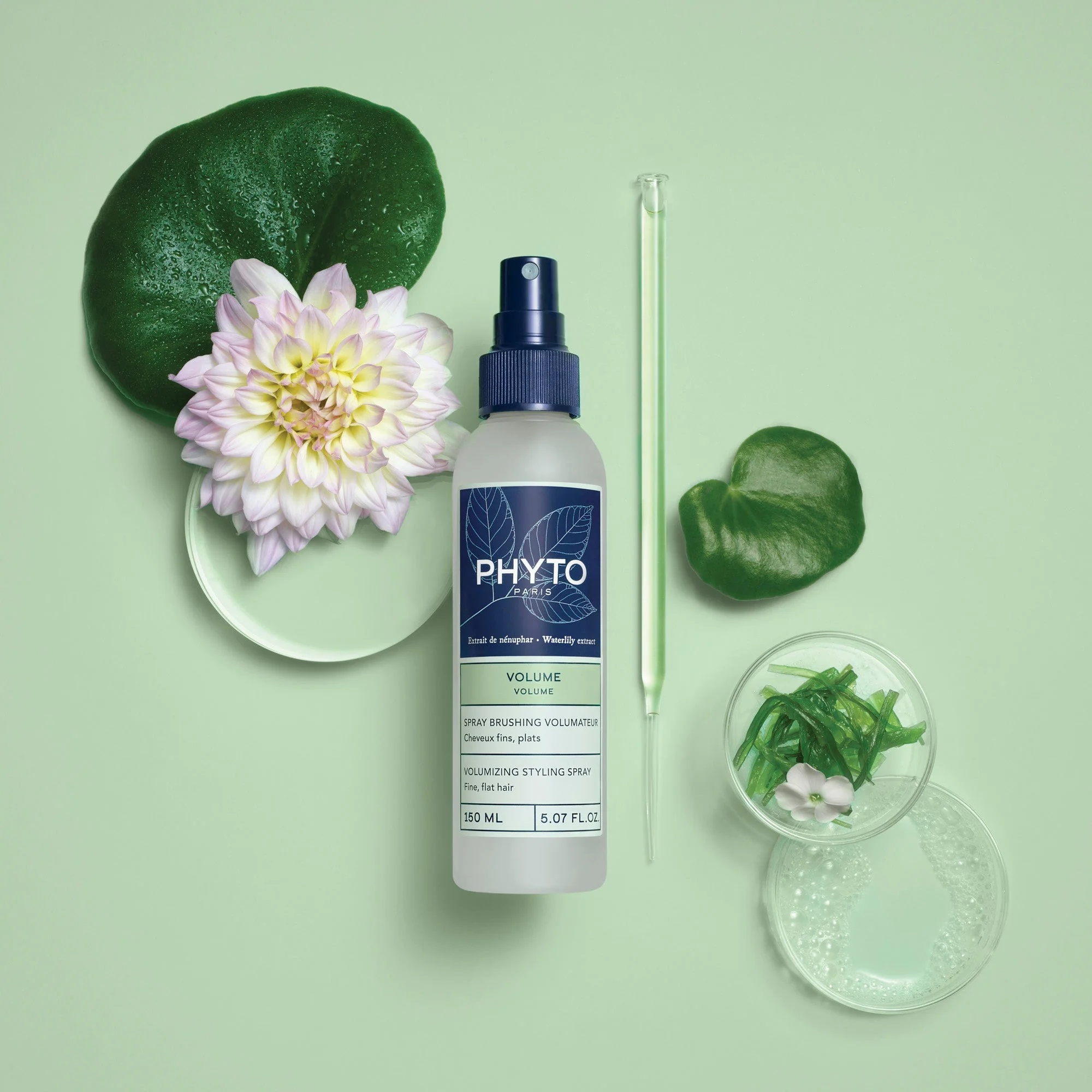 Phyto Phytovolume Volumizing Blow