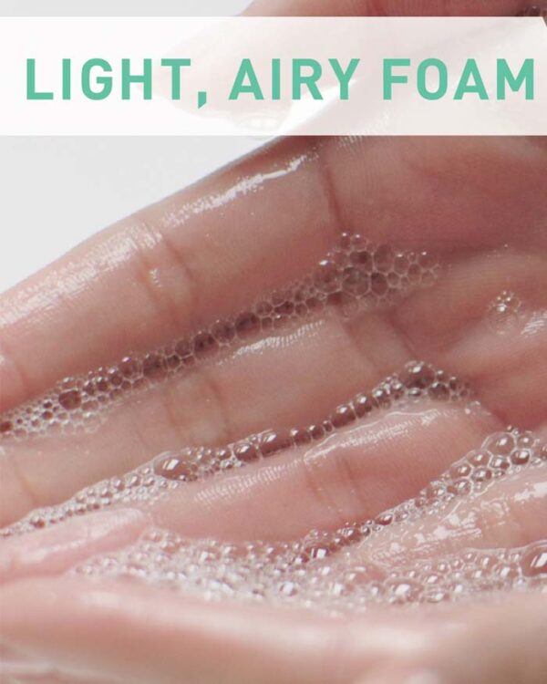 foaming cleanser 3 LG