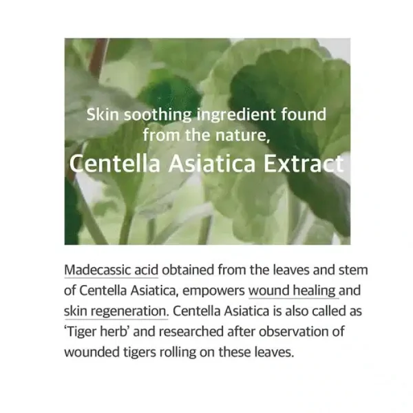 اسنس تقویت کننده و تسکین دهنده سنتلا آسیاتیکا میکسون MIXSOON Soondy Centella Asiatica Essence 3 700x700 1