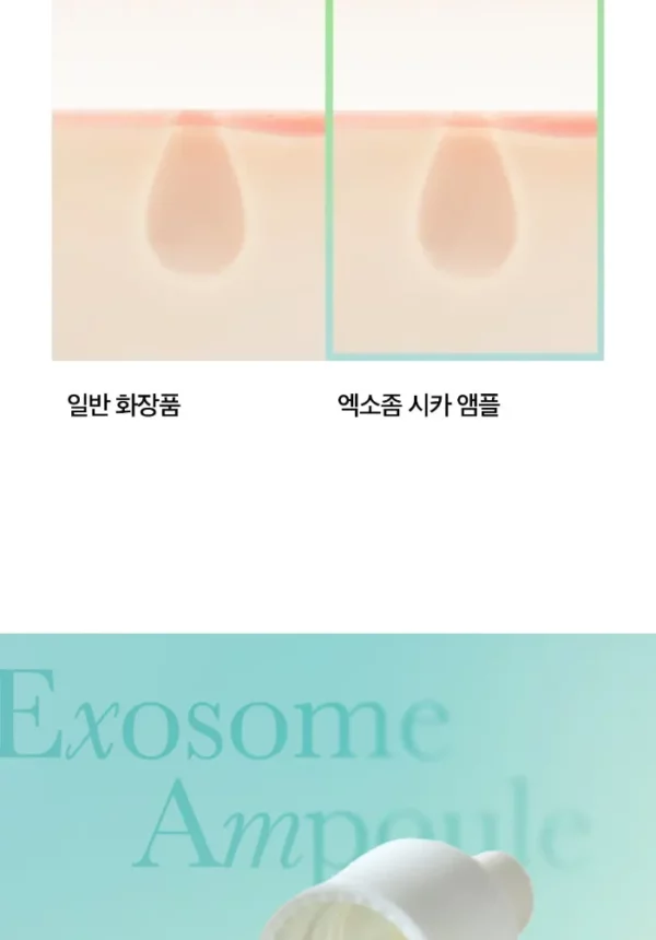 سرم آمپول اگزوزوم سیکا مدی کیوب Exosome Cica Ampoule 30ml - Image 7